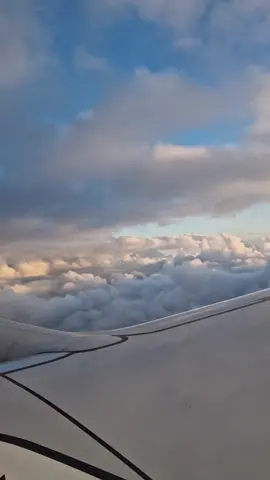 Ho preso il volo per il mio primo viaggio da sola e non pensavo mi farei emozionata così, subito #nomadedigital #canarie #viaggiaredasoli #smm #travelcreator #viaggiosola 