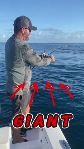 The anticipation never gets old 😍😍😍 #fishing #foryou #fish #greatbarrierreef #australia 