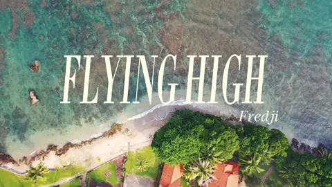 Bạn nào hay xem anh streamer người tày chắc ko lạ j bài này nhỉ 🤣 (no lyrics) ✨🙌🙌🙌 [Flying high - fredji] #music #Vlog #edm #mixigaming #fyp #chill #lofi #xuhuong 
