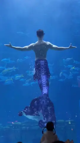 Wow the 🧜‍♂️ is so large and gorgeous #😍😍😍 #fypシ゚viral #handsome #boyfriend #merman #mermaid 