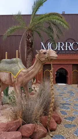 คาเฟ่สวยๆในพัทยา#นาจอมเทียน #pattaya #แม่บ้านอาหรับ🇹🇭🇸🇦 #สามีอาหรับ 