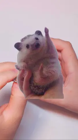 DIY Cute Hedgehog #handmade #DIY #viral #foryou #needlefelting