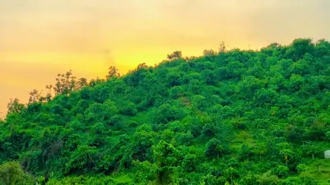 বোয়ালখালী জ্যৈষ্ঠপুরা পাহাড় কি সুন্দর দৃশ্য 🌸❤️🙈 #পাহাড়ি_মানুষ #foryou #foyoupage #নতুনপাড়া #হিংগলামুছাশাহ #মাইজভান্ডার_দরবার_শরীফ♥️♥️ #ভান্ডারী_পাগলা #fypシ゚viral #মাইজভান্ডারীর_গোলাম💖 #ভান্ডারীর_পাগল_আমি #fypシ #plzsupport #unfrezzmyaccount #bdtiktokofficial🇧🇩 @꧁•⊹٭𝙼𝙳 𝚂𝙰 𝚈 𝙴𝙼٭⊹•꧂ 