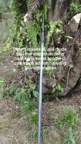 #katakata #sawit #sawitontiktok #suksesusiamuda #foryou #fypシ #xbcyza 