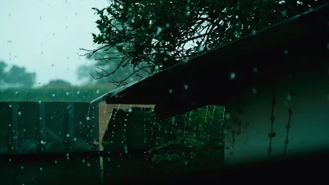 #Cinematic #filmtok #filmmaker #nature #rain 