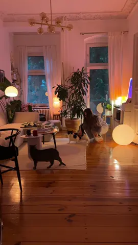 what I woke up to today ⛈️ #moody #lamptok #lighting #berlin #stormyweather #cozyathome #cosy #cozy #fyp #fürdich #Home #lamps #homedecor #catsoftiktok #ambientlight 