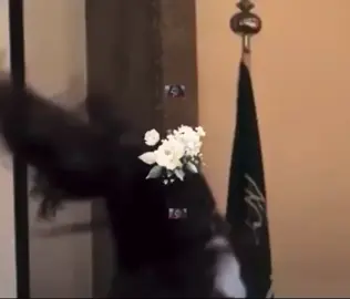 #يابي_يابي_يابيه_حمولي_الكف_شوي ❤️‍🔥❤️‍🔥💃🏻#وجدان5١ #تصميم_فيديوهات🎶🎤🎬 #🤎🤎 #fyp #🤍🤍 #Mood #اخت_العروس 