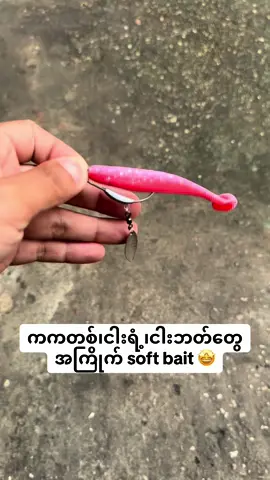 အရုပ်ယဉ်နေတဲ့ကန်တွေမှာကြိတ်ဖို့ soft bait 🤩#fishingvibe #ငါးမျှားပစ္စည်း #lure#softbait#followyourdreams #foryou#fypシ゚viral 