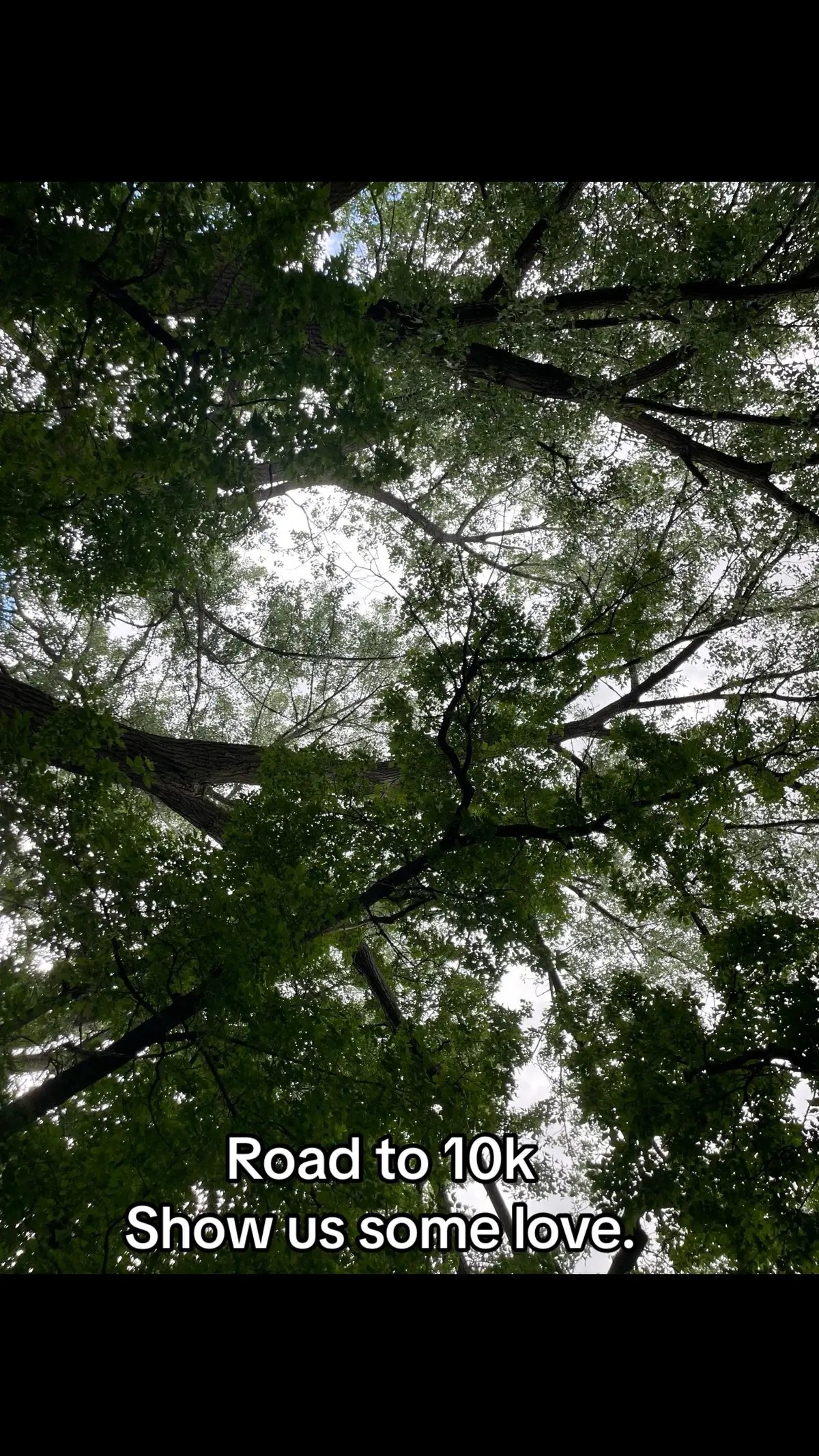 #roadto10k #dadsoftiktok #nature