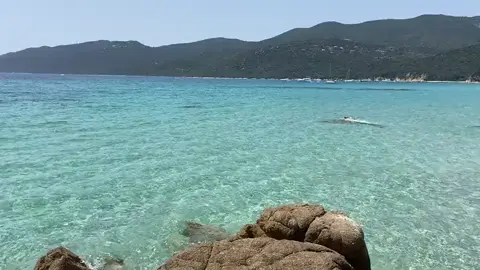 🌊✨ Découverte de la plage de Cupabia, un véritable paradis caché au nord de Porto Pollo ! Des eaux cristallines, du sable fin et une ambiance paisible font de cet endroit un incontournable pour tous les amoureux de la nature. 🏖️🌅 #plage #Nature #aventure 