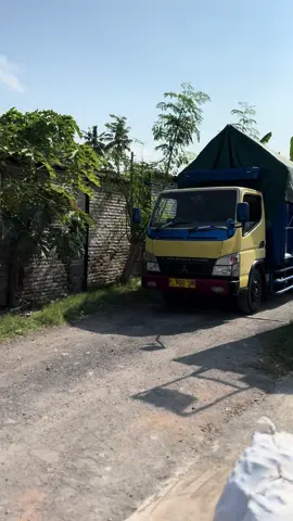 #blitar #malang #ayampetelur #jagungblitar #telurblitar #jagungsuper#jagunglumajang #pakanternak #