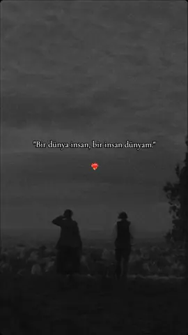 Dünyam dediklerinizi etiketleyin❤️‍🔥 . . . . . #stopmotiontrend #CapCut #makeupart #ayrilikvideolari #sevgili #asksozleri #siir #fypage #herkafadann1ses #fyppppppppppppppppppppppp #tr #turkishseries #akim 