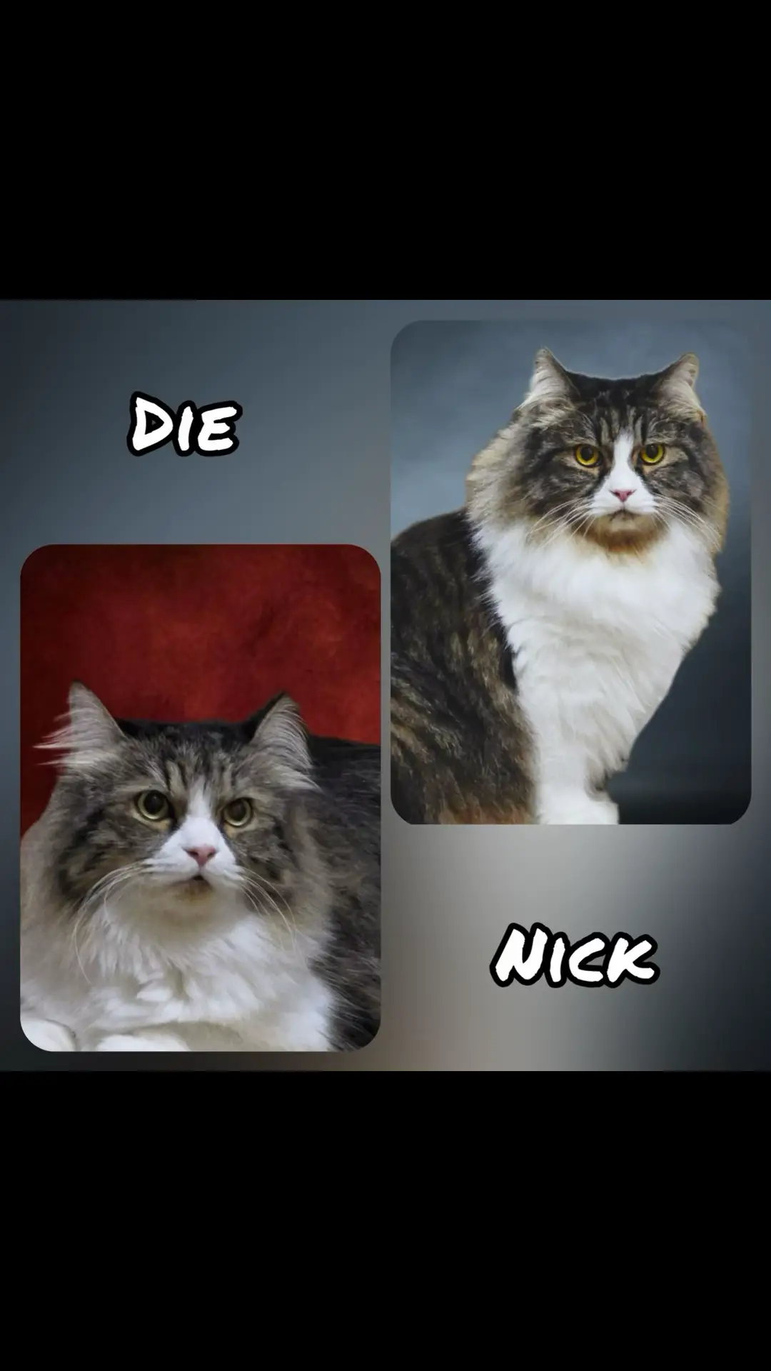 Who look more handsome?? <<Die / Nick>>