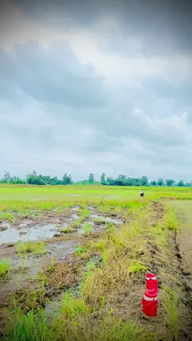 Làm món gì ngon đây ta #xuhuong #tiktok2023 #68kiengiang #fyp #tiktok 