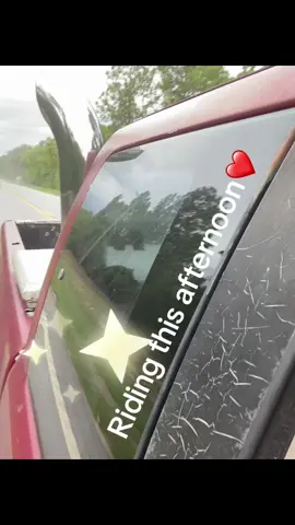 ❤️❤️❤️