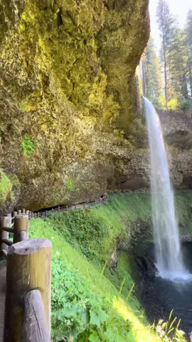 This hike was magical 🥾 *#silverfallsstatepark #beatifulview #waterfallhike #chasingwaterfalls #oregon 