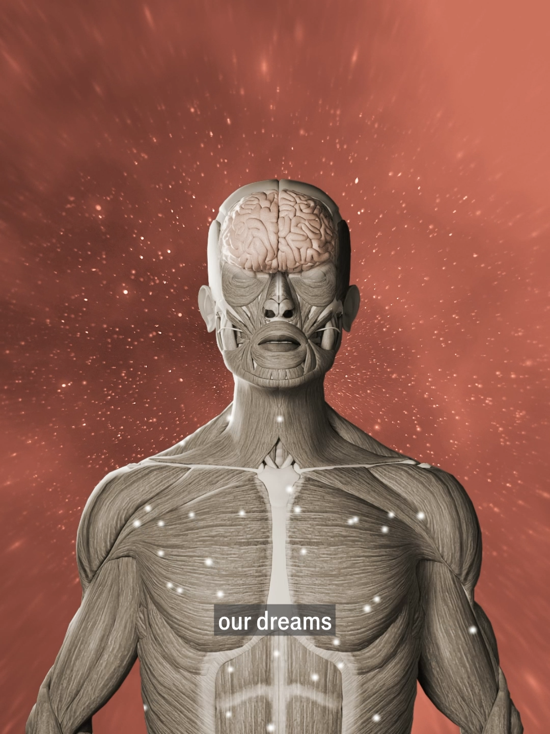 What happens when you sleep? We explain what is really happening inside the body when you drift off #sleep #sleeping #Science #biology #sciencetok #sciencefacts #LearnOnTikTok #facts #DidYouKnow