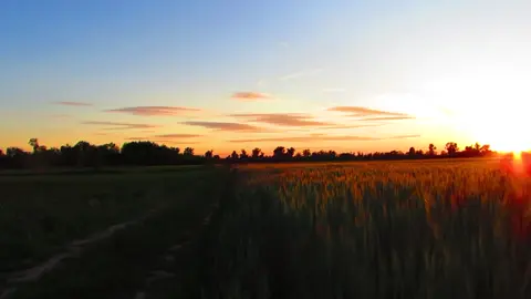 အလှရှုခင်းvideoများကို ကြိုက်နှစ်သက်သူများအတွက် #nocopyright #freedownlaod 