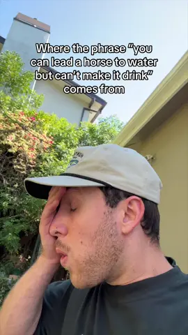 Biblically accurate btw