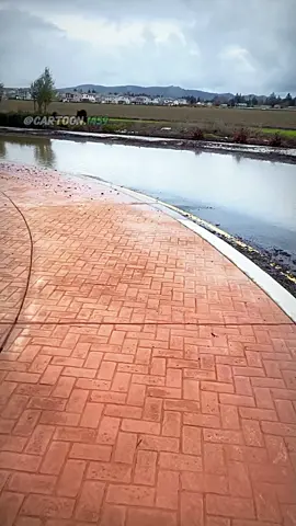 #uncloggingdrains #drain #satisfyingvideo #relaxingvideos #cleaning #fyp