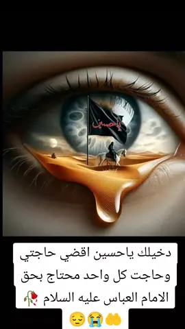 #الامام_الحسين_عليه_السلام #اقضي_حاجتي_وحاجت_كل_محتاج #💔😭😔🥺🤲 