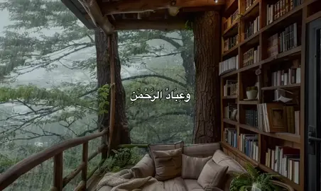 #ادريس_ابكر #سوره_الفرقان #قرآن  اكتبو شي تؤجرو عليه 🤎🤎