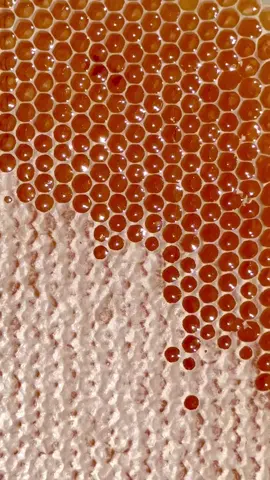 here’s a honeycomb close up ✨🪩🐝 #honeycomb#honey#rawhoney#bees#bee#trends#foryoupage#twilight#asmr 