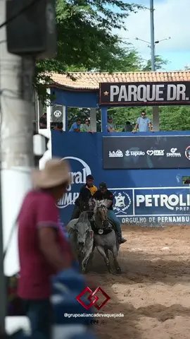 A maioria não acreditou em mim, a maioria duvidou da minha capacidade, mais eu sempre acreditei, e eu cheguei a aonde poucos chegaram, e a onde todos duvidaram. Nunca duvide que seja capaz, acredite sempre em você.  Entrega os teus caminhos ao senhor e ele tudo fará!. 