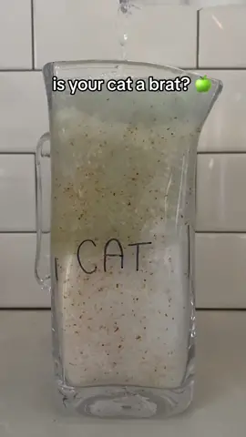 wishing you and your cat a brat cat summer 💚🙌 #brat #cat #bratsummer #prettylitter 