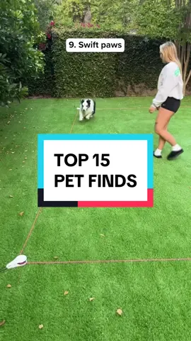 Number 1 is a MUST have 🙌🏼😅#justicebuys #amazonfinds #amazon #pets #dogs #dog #petproducts #dogsoftiktok #dogmom #dogtok #PetsOfTikTok 