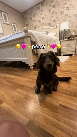 Y esa es la verdad🤝