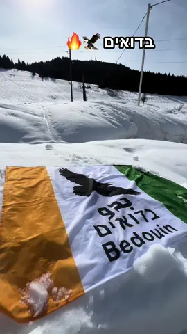 اعلام البدو للمعنين 0535354943🦅🔥🫡#בדואים #بدو #fyp #اكسبلور 