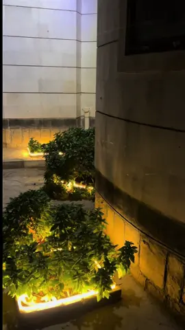 #مأرب #تصويري📸 #اذكروا_الله #محمد_الراشد👑 #جيب_لكزس_2021 #تيم_ماربيين📮 #explore 