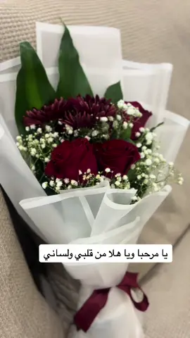 يا مرحبا ويا هلا من قلبي ولساني###