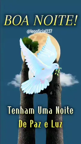 BOA NOITE! #boanoite #mensagemdeboanoite #gratidao #cristao #statusvideo #foryu #tiktokviral 
