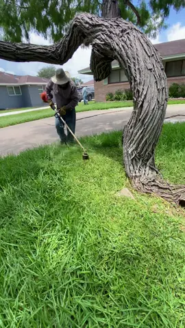 #foryoupage #yardero #lawncare #lawntiktok #parati #lawntok #fyp #foryou 