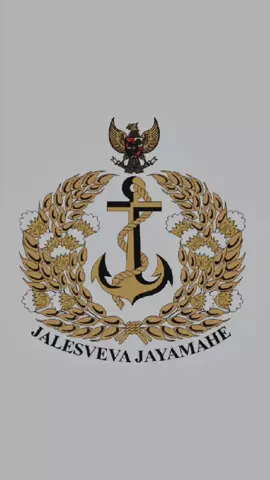 Jalesveva Jayamahe #abdinegara #jalesvevajayamahe #tnial #foryou #tniindonesia🇮🇩 #foryoupage #storyabdinegara #fypシ #aal #viral #akademiangkatanlaut #fyp 