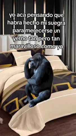 #Meme #MemeCut #CapCut #humor #humortiktok #flyppppppppppppppppppppppppppppppp #fouryou #fo #paratiiiiiiiiiiiiiiiiiiiiiiiiiiiiiii #paratii #parati #viraltiktok #viralvideo #viral #flypシ #suegra #etiqueta #etiquette #jaja #jajaja #novios #noviosgoals #noviostoxicos #noviosgoals #cosasdenovios #cosasdelavida #cosasdeparejas #cosasdehombres #cosasdepareja #noviostoxicos 