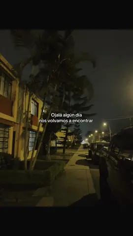 Algun dia 🤞🏻#fyp 