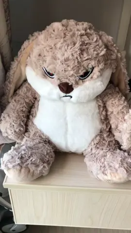 Angry rabbit#rabbit #matchmaking #longear #plushies #gift #doll #plushtoys #angryrabbit 