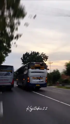 SR lumba lumba duet bareng SR mercy🥵🔥 @galery#cobra# #sumbergroup #sugengrahayu #kajitukii 