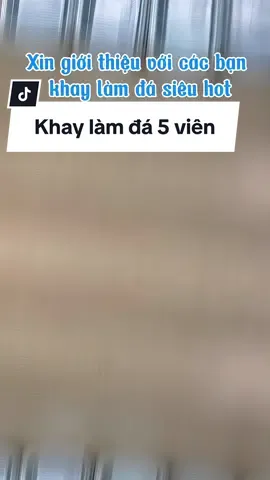 Khay làm đá 5 viên dành cho gia đình nhà bạn 😍 #inochi #inochistore79 #khayda #khaylamda #xuhuong #hanggiadung 