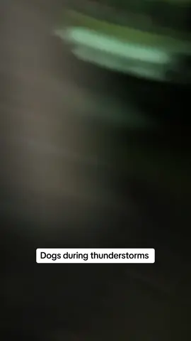 Where is the BOOM?! #corgi #corgidog #corgisoftiktok #corgination #thunderstorm 