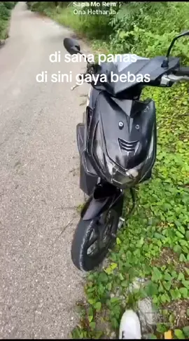 #nttpride🏝🔥 