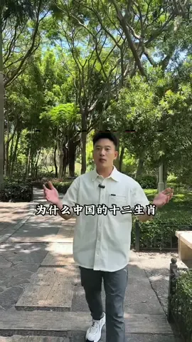 中国文化博大精深#全能导游 #十二生肖 #历史文化 #厦门阿波 