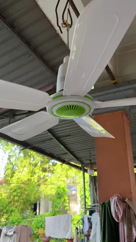 QUẠT TRẦN MINI 1060#đồgiadụng #giadungtienich #xuhuong #thinhhanh #xuhuongtiktok #thinhhanhxuhuong #quạt #quat #vuaquat #quạttranmini #quạttran #quạttran5canh 
