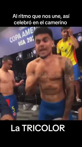 Al RITMO QUE NOS UNE, así celebraron en el camerino los muchachos de la selección Colombia el paso a la final de la Copa America. 😎🥳🤩 ¡¡¡prendan la radio enciende la tele!!! #seleccioncolombia #colombia🇨🇴 #luchodiaz #jameseodriguez #tricolor #uruguay🇺🇾 #copaamerica2024 #finalcopaamerica 