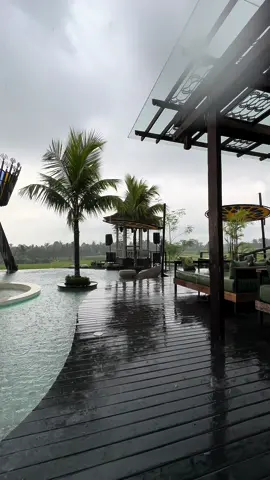 #اندونيسيا#بالي#jakarta#بونشاك#bali 