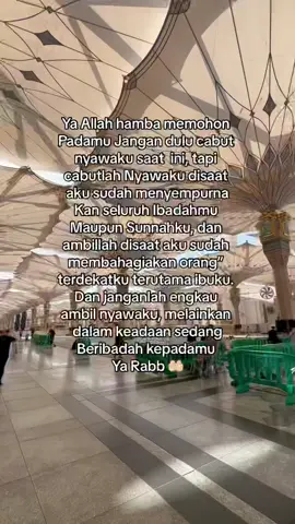 Hasbunallah wani mal wakil ni mal maula wani'man nasir 🤲🏻🥹 #madinah 