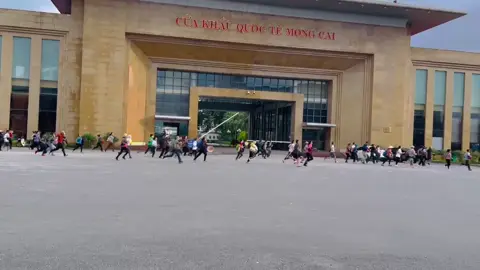 Cảnh này thật quen thuộc ta thường thấy nó ở cửa khẩu mỗi sáng 😁 👉Cho ai không biết thì đây là cư dân biên giới làm nghề xách hàng họ, phải chạy thật nhanh khi cửa khẩu vừa mở để xếp hàng làm thủ tục đóng dấu sang nhanh TQ còn quay về đi được thêm nhiều chuyến 💥 #cửakhẩumóngcái 
